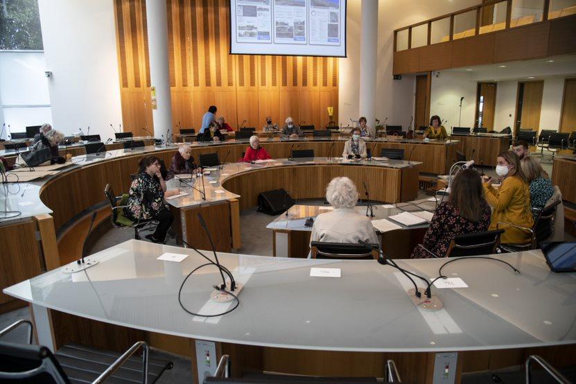 Age Friendly Fingal Programme Fingal County Council